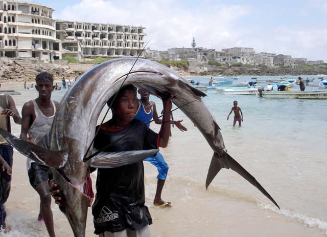 Fisheries